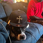 Diamond is registered to the contest to win money with this photo: dog, cap, couch, man, red_shirt, living_room, indoor, furniture, pet, black_dog, hat, cross, relaxing, seated, casual, floor, wooden_floor, cable, window, light