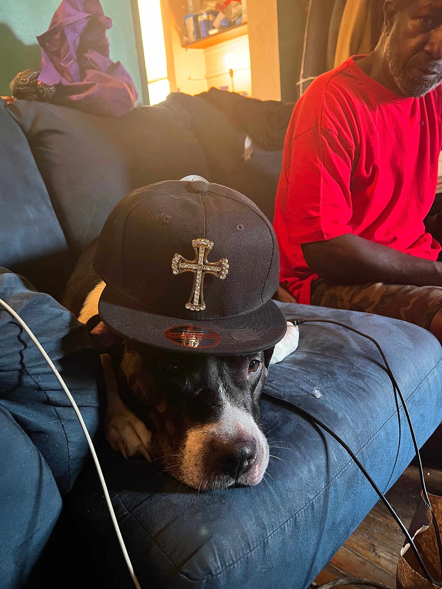 Diamond is registered to the contest to win money with this photo: dog, cap, couch, man, red_shirt, living_room, indoor, furniture, pet, black_dog, hat, cross, relaxing, seated, casual, floor, wooden_floor, cable, window, light