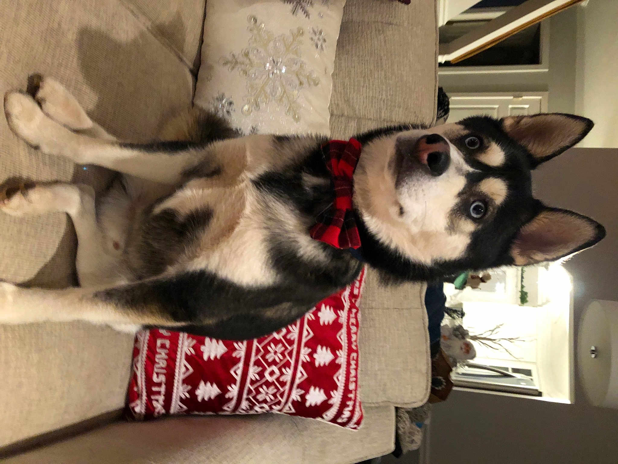 Kobi