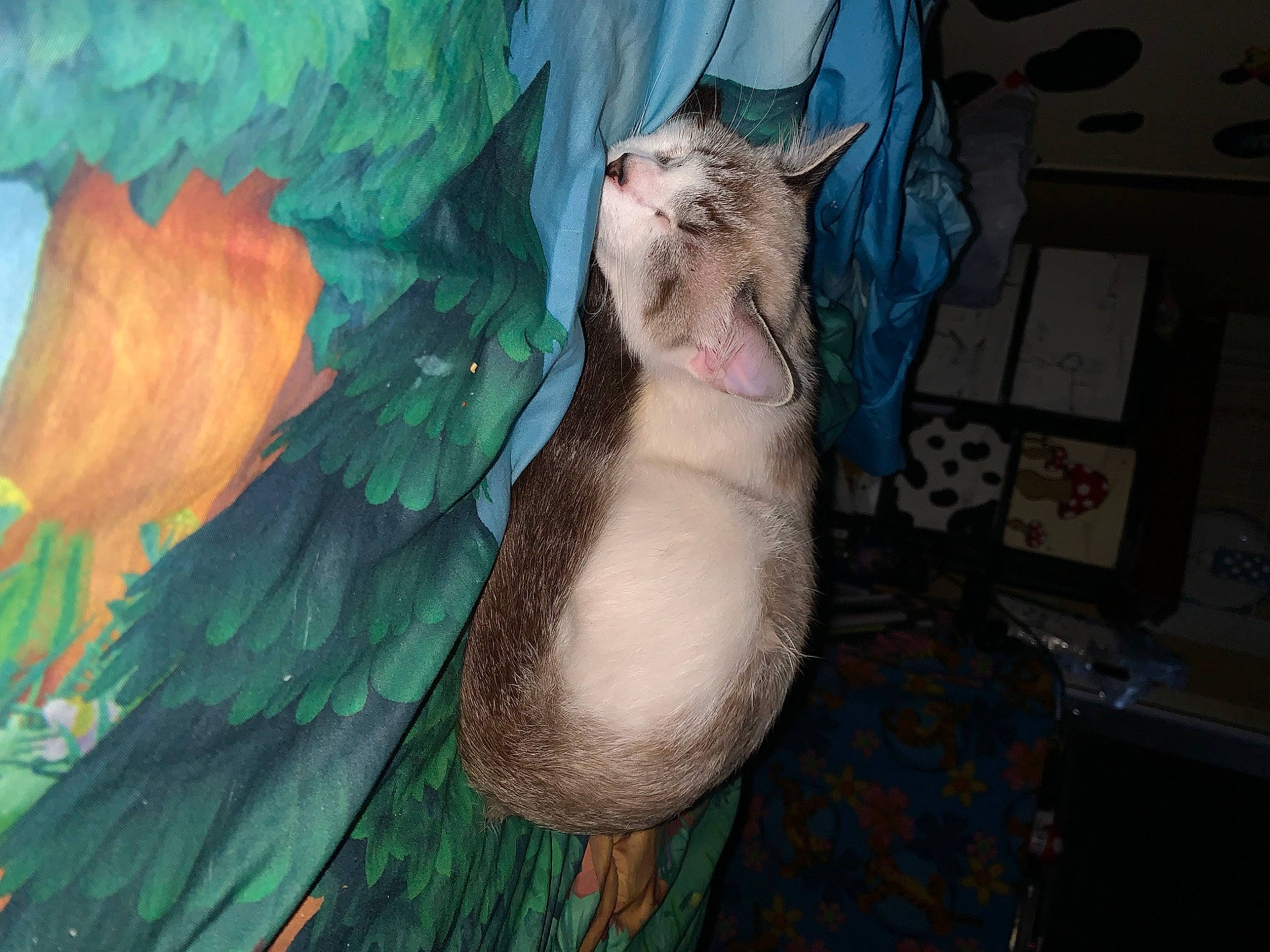 Bay Bay is registered to the contest to win money with this photo: art, beard, carnivore, cat, drawing, fawn, felidae, fur, illustration, jaw, marsupial, mustelidae, paint, painting, plant, small_to_medium_sized_cats, tail, tree, whiskers, wildlife