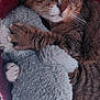 cat, tabby, stuffed_animal, plush_toy, snuggling, sleepy, cozy, red_blanket, furry, paw, whiskers, indoor, relaxed, close_up, pet, cute, animal, soft_texture, resting, bed