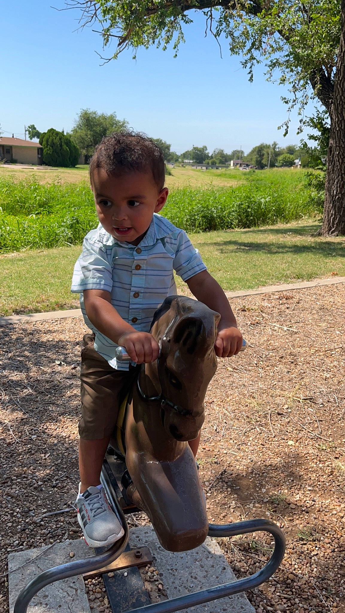 Miguel Wilson joined the competition — help win amazing prizes! botany, fawn, grass, happy, human_leg, landscape, leaf, leg, leisure, people_in_nature, person, plant, recreation, sandal, shoe, sky, sneakers, soil, toddler, tree