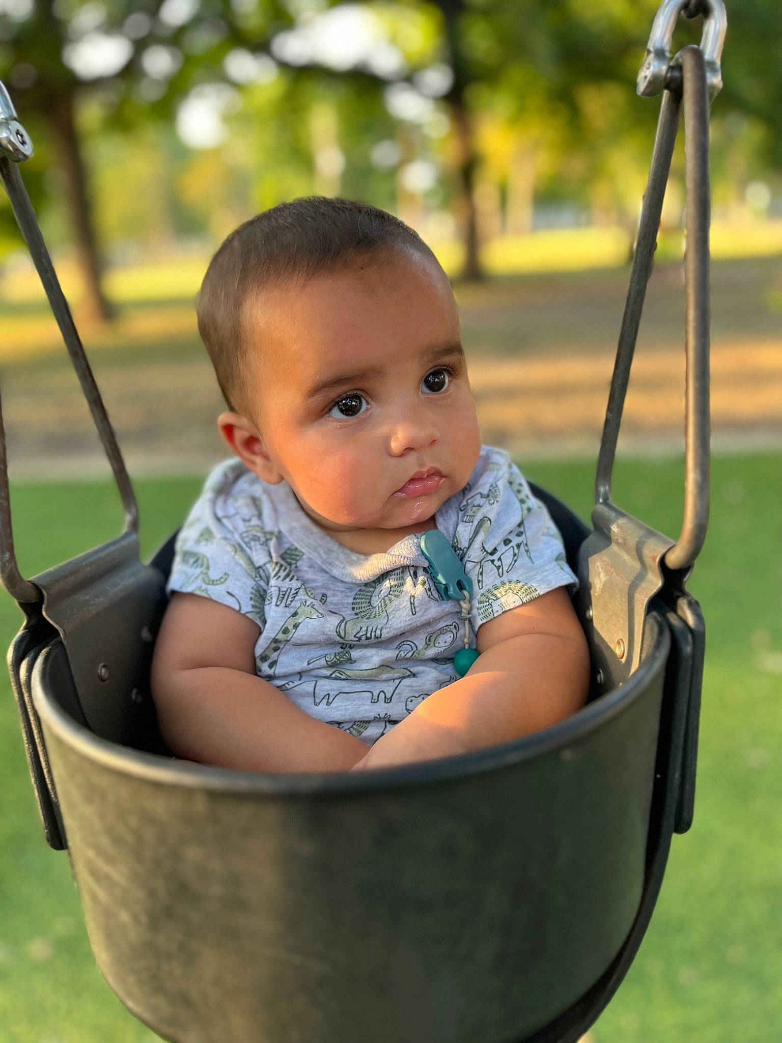 Taron Jr joined the competition — help win amazing prizes! baby, baby_toddler_clothing, child, eye, fun, grass, green, happy, leaf, leisure, people_in_nature, person, plant, playground, recreation, sitting, sunlight, swing, toddler, tree
