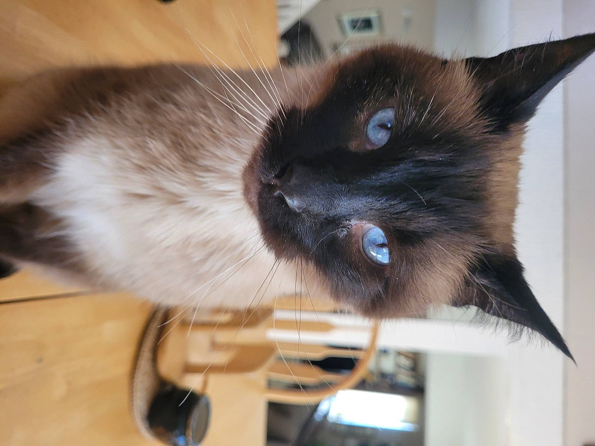 Dusty
