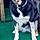 Mayka