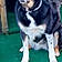 Mayka