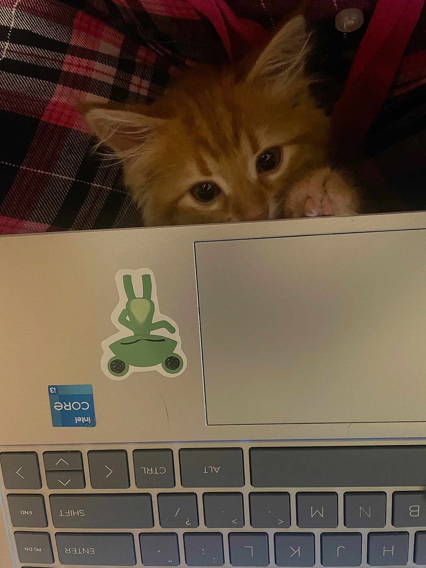 Garfield