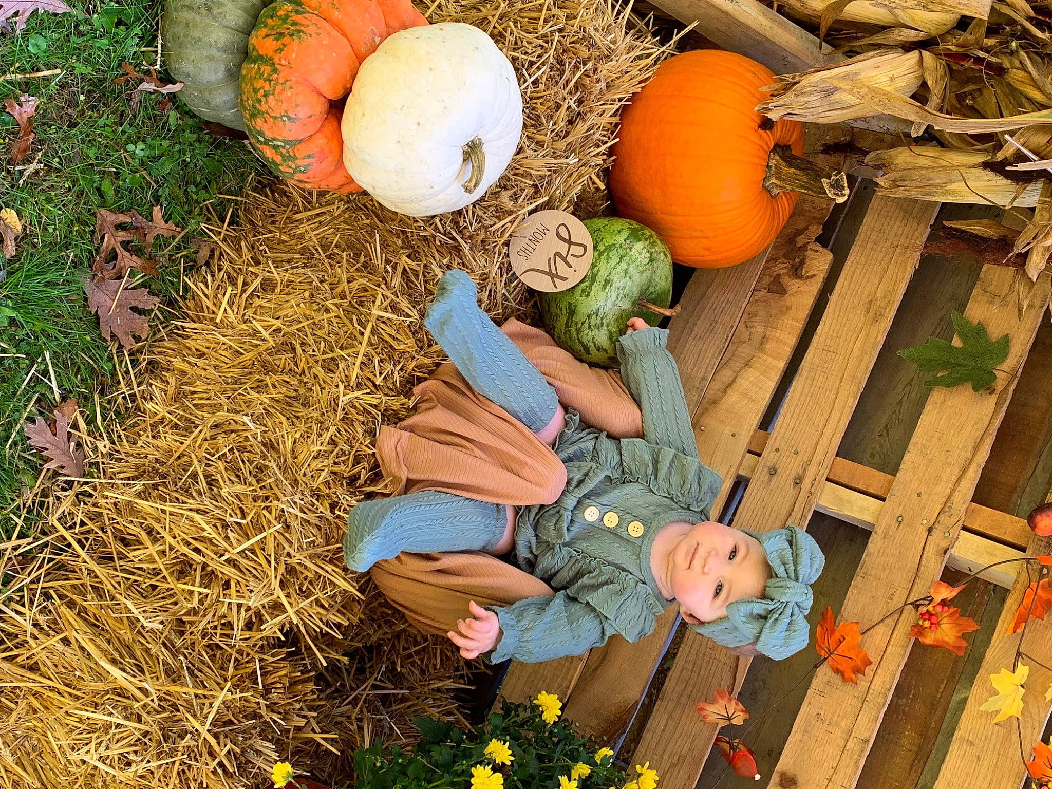 Juniper is registered to the contest to win money with this photo: agriculture, calabaza, cucurbita, gourd, grass, hat, hay, headwear, leisure, local_food, natural_foods, people_in_nature, person, plant, pumpkin, soil, squash, vegetable, whole_food, winter_squash