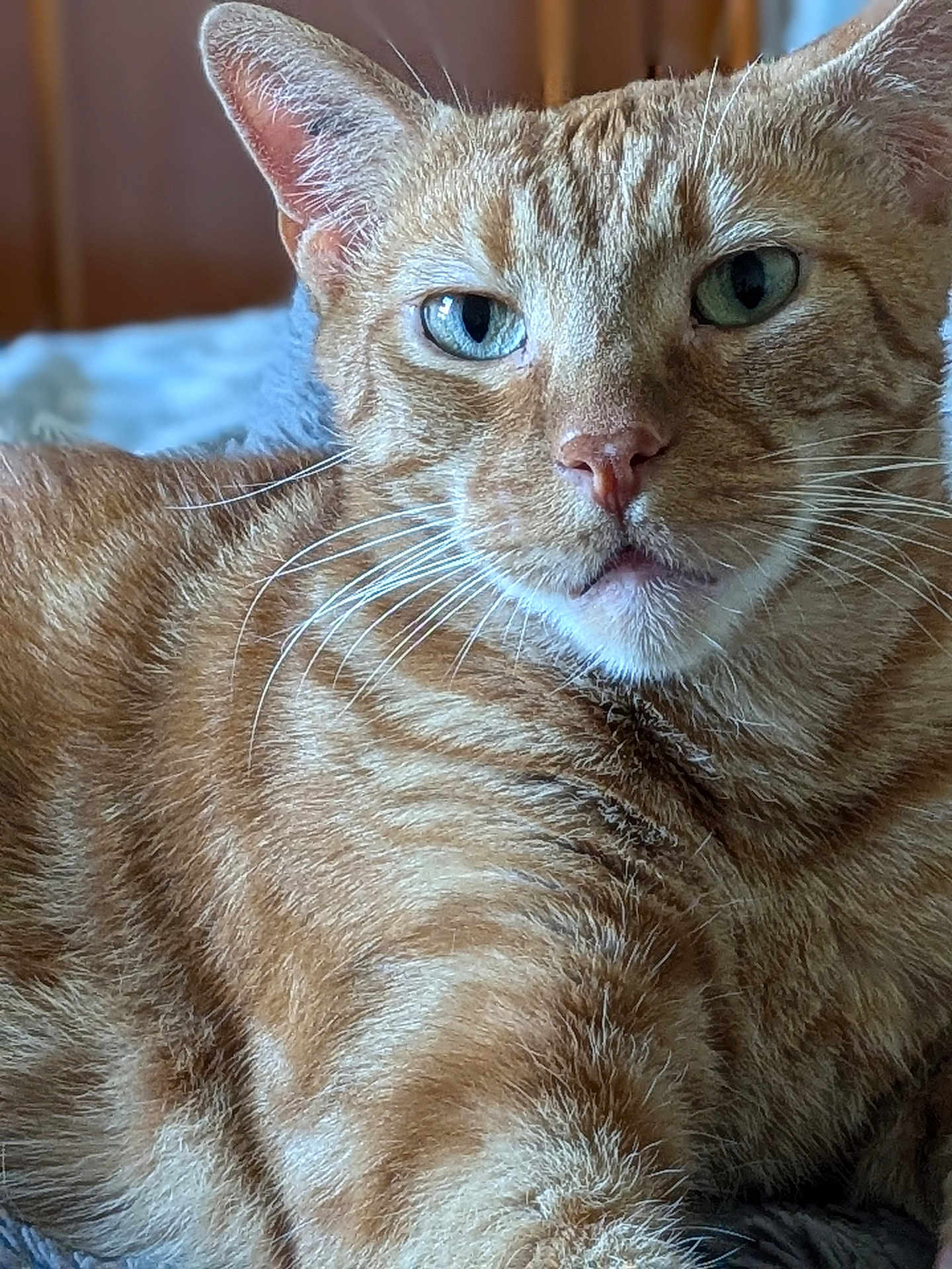 Diesel