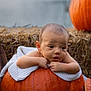 Kysaac is registered to the contest to win money with this photo: baby, pumpkin, blanket, hay_bale, autumn, orange, child, face, portrait, cute, outdoor, seasonal, fall, resting, expression, young_child, skin, head, hands, nature