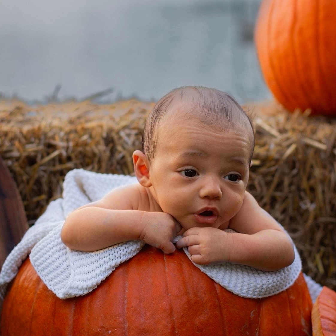 Kysaac is registered to the contest to win money with this photo: autumn, baby, blanket, child, cute, expression, face, fall, hands, hay_bale, head, nature, orange, outdoor, portrait, pumpkin, resting, seasonal, skin, young_child
