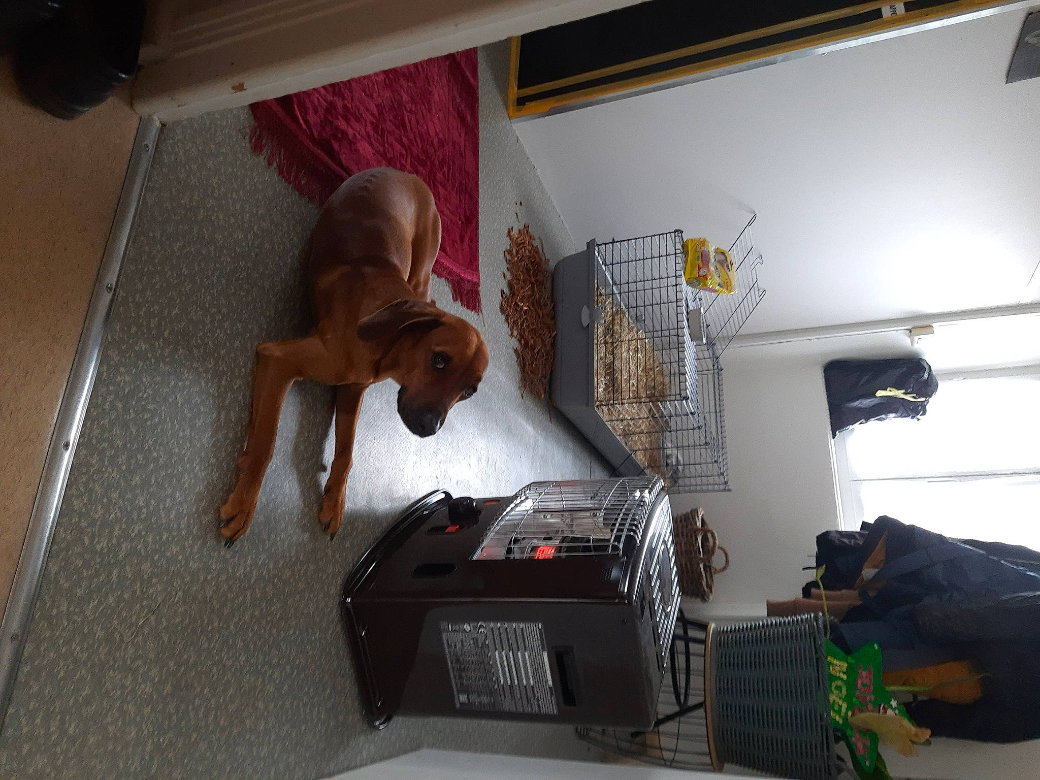 Pep S a rejoint le concours — aidez-le/la à gagner de superbes lots ! audio_equipment, box, cardboard, carton, ceiling, flooring, hardwood, machine, office_equipment, room, shipping_box, wood