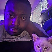 Canary is registered to the contest to win money with this photo: abyssinian, adult, animal, blackcat, cat, couch, face, furniture, head, homedecor, kitten, male, man, manx, person, pet, photography, portrait, purple, siamese