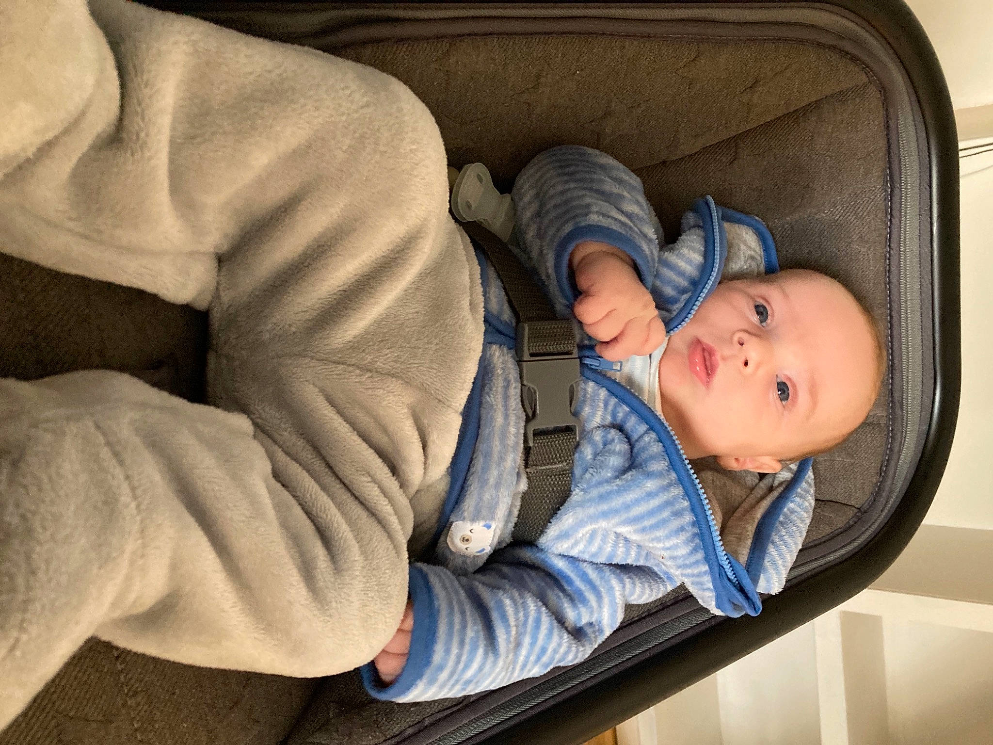 Maxime a rejoint le concours — aidez-le/la à gagner de superbes lots ! auto_part, baby, baby_in_car_seat, baby_products, baby_sleeping, baby_toddler_clothing, bedtime, car_seat, cheek, child, comfort, electric_blue, face, mouth, nap, person, room, sitting, sleep, toddler