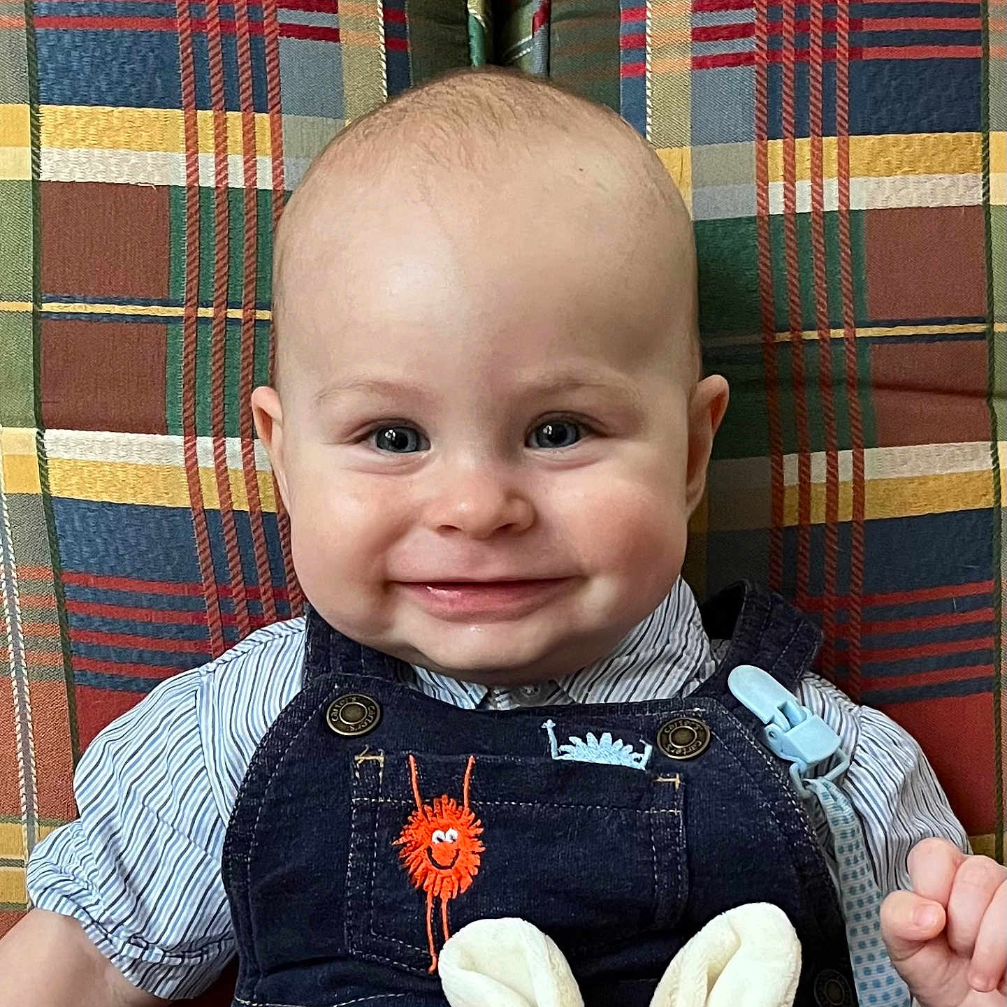 Johnny joined the competition — help win amazing prizes! baby, baby_smile, blue_eyes, bunny, child, clothing, cute, cute_outfit, denim_overalls, face, happy, head, indoor, infant, person, plaid_background, plush_toy, portrait, sitting, smiling
