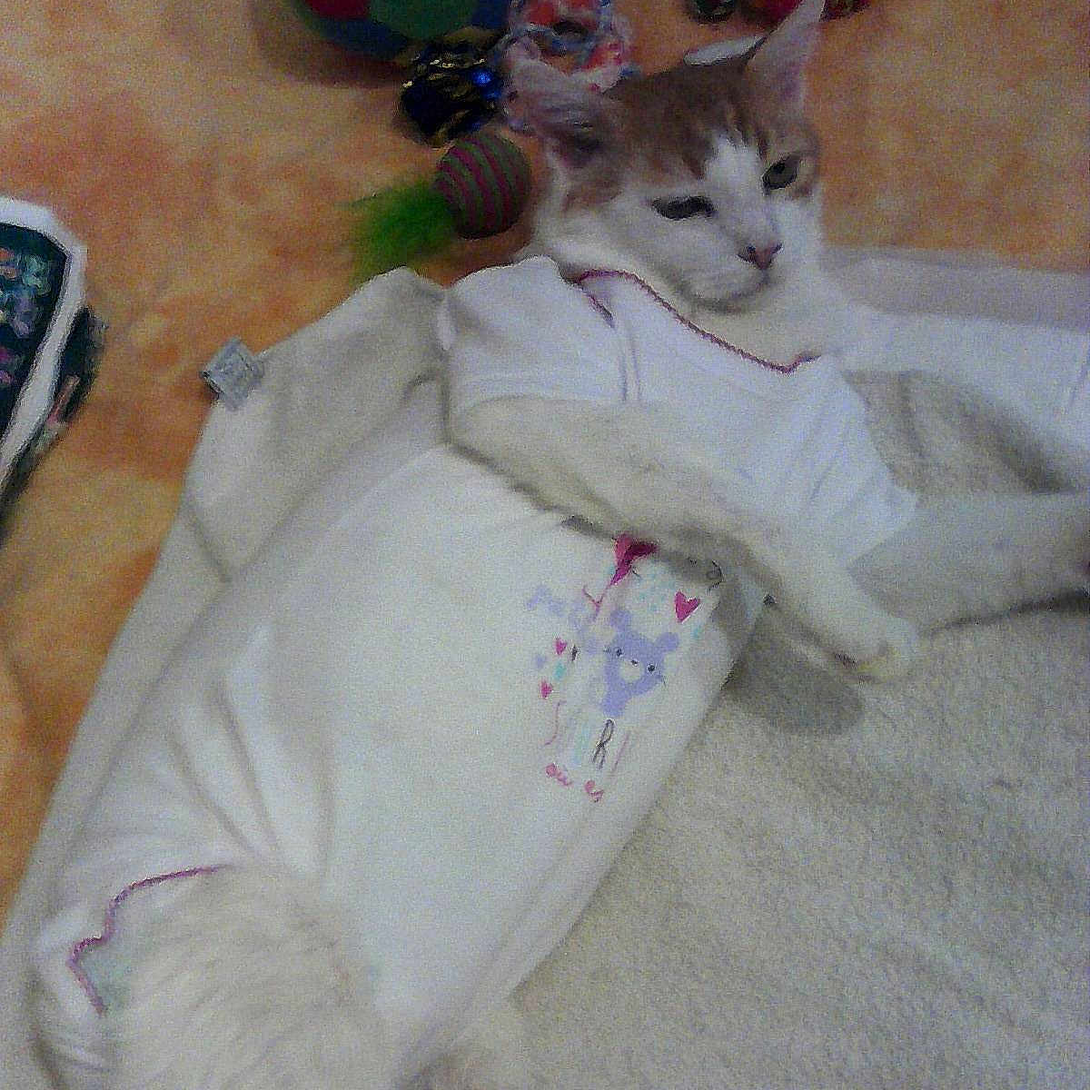 Caramel