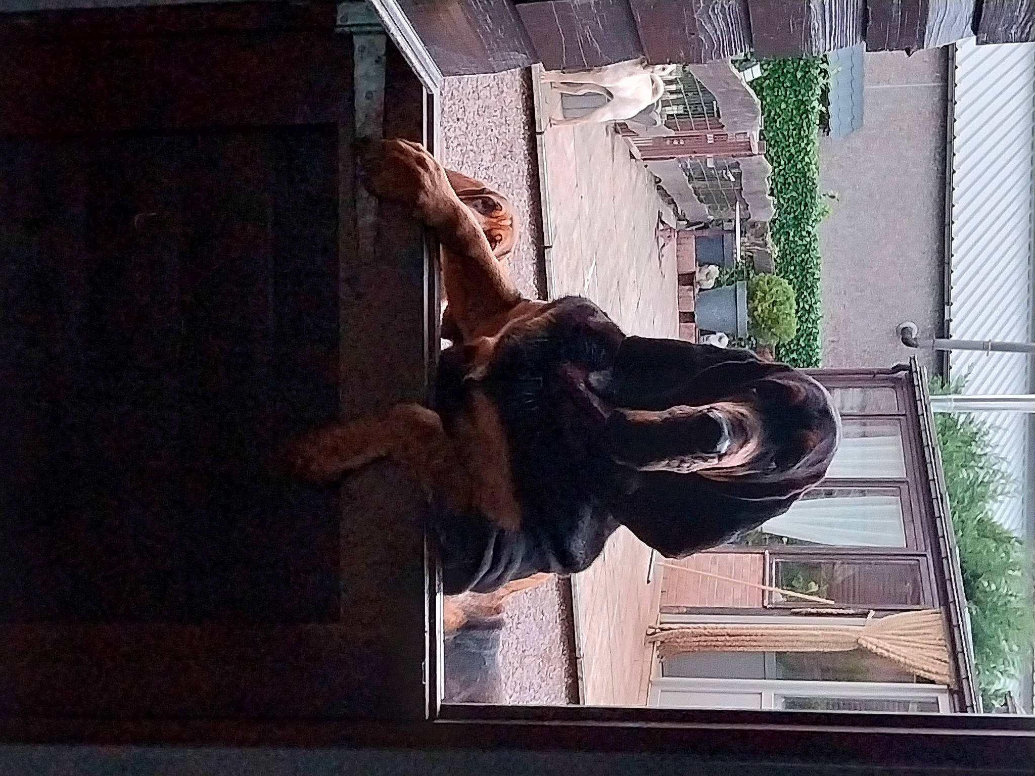 Luigi a rejoint le concours — aidez-le/la à gagner de superbes lots ! art, fun, metal, plant, reflection, room, sculpture, square, statue, tints_and_shades, tree, visual_arts, water, window, wood