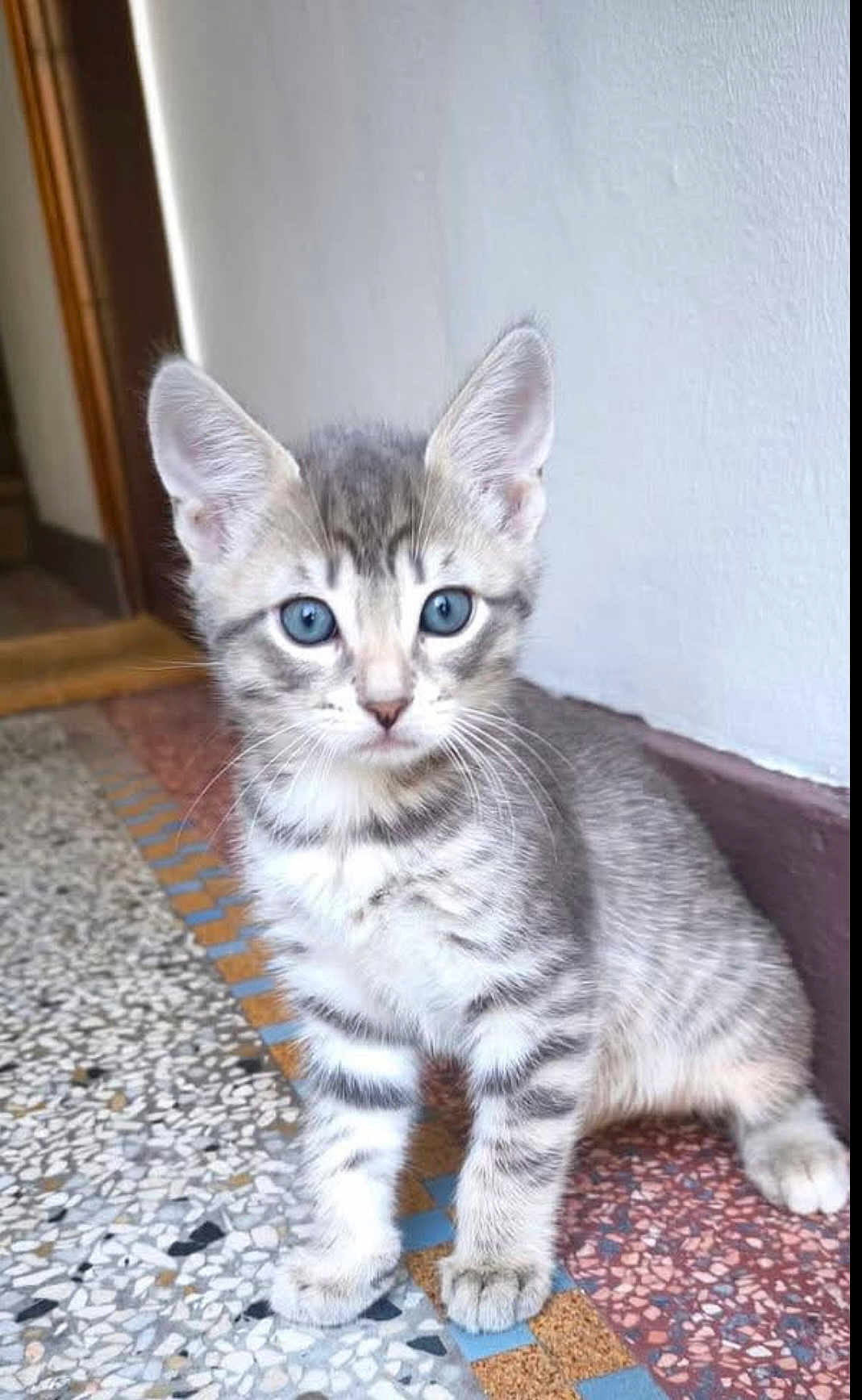 Milo