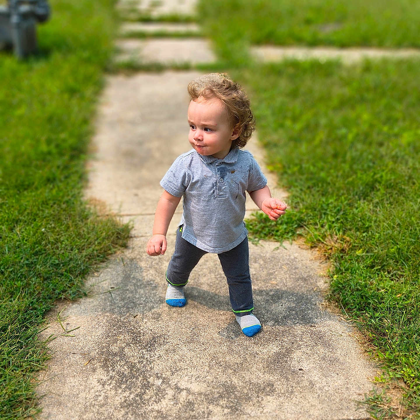 Johnathan is registered to the contest to win money with this photo: casual_clothing, child, concrete, curious, curly_hair, daylight, grass, gray_shirt, greenery, nature, outdoor, pants, person, playful, sidewalk, socks, standing, toddler, walking_path, young_child
