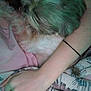 Myaaaa is registered to the contest to win money with this photo: dog, pet, arm, hand, bed, bedding, blanket, floral_pattern, resting, close_up, fur, sleeping, cozy, indoor, human, skin, relaxing, comfort, pink, green_tint