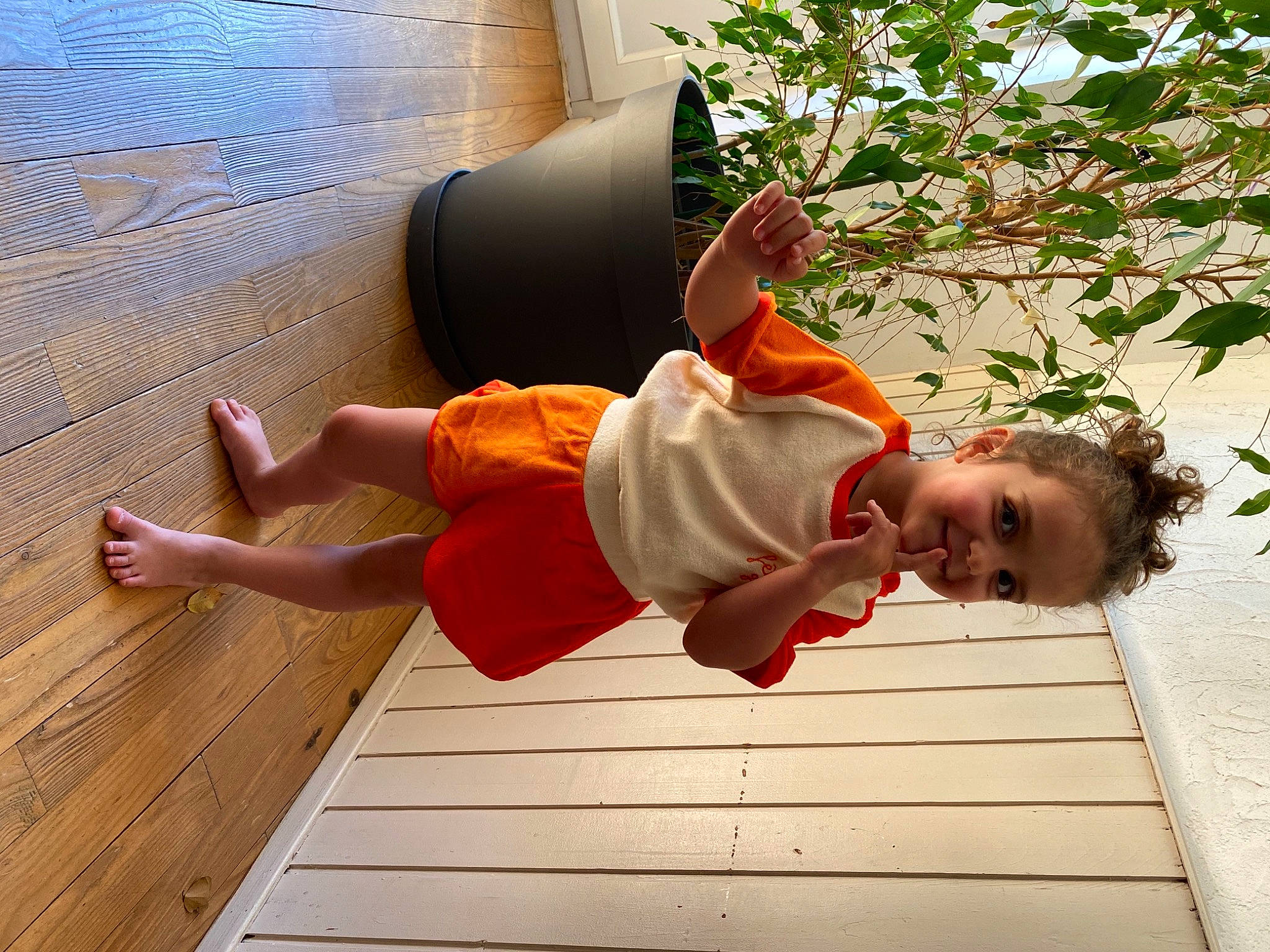 Luiza participe au concours pour gagner de l'argent avec cette photo : child, elbow, flooring, fun, happy, hardwood, human_leg, joy, knee, leisure, orange, person, plant, smile, thigh, thumb, toddler, tree, varnish, wood