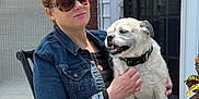 Sitich is registered to the contest to win money with this photo: woman, dog, sunglasses, denim_jacket, chair, porch, brick_wall, white_door, black_lantern, casual_clothing, pet, sitting, outdoor, daylight, smiling_dog, relaxed, hand_holding, jeans, plant, metal_chair