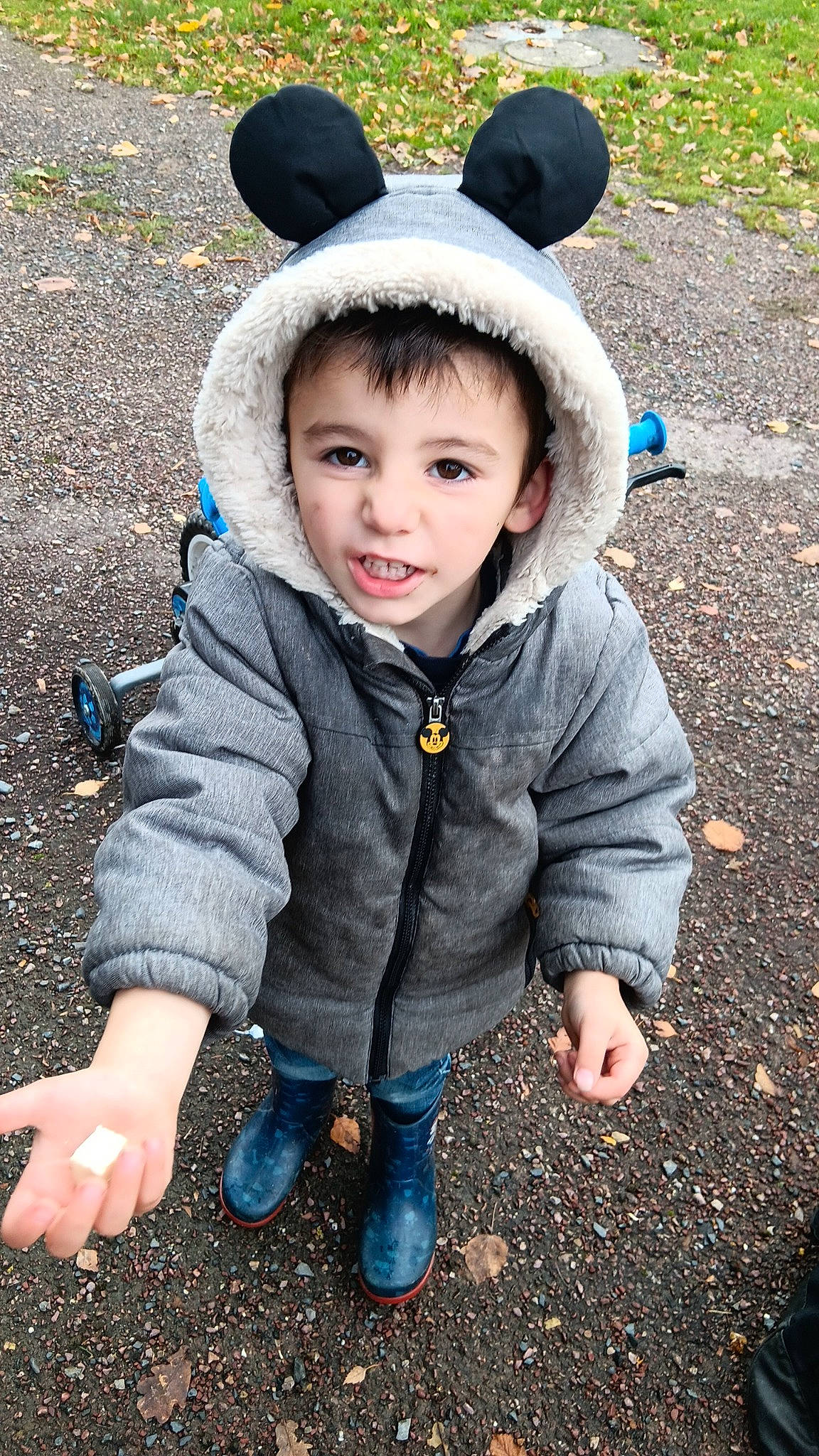 Léo participe au concours pour gagner de l'argent avec cette photo : cap, cheek, child, clothing, flash_photography, fun, fur, grass, happy, head, jacket, leaf, people, people_in_nature, person, road_surface, sitting, soil, toddler, tree