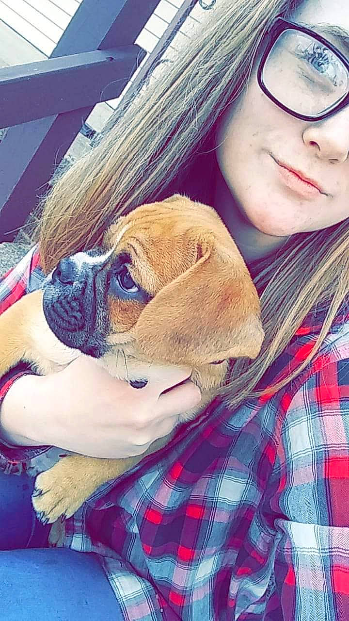 Beast joined the competition — help win amazing prizes! canidae, companion_dog, cool, design, dog, eye, eyewear, fawn, glasses, nose, pattern, photography, plaid, pug, puppy_love, selfie, snout, sunglasses, tartan, vision_care