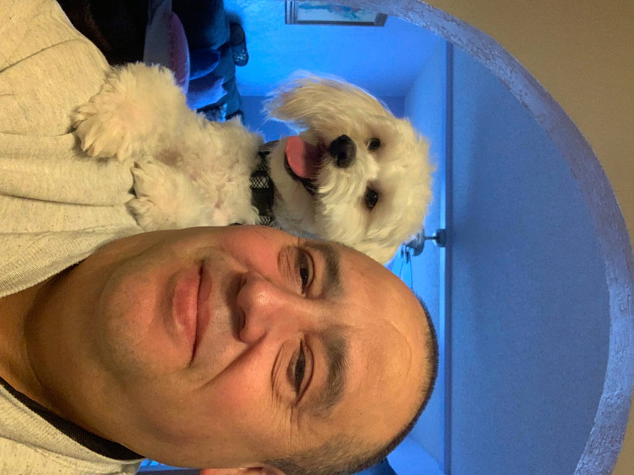 Simba is registered to the contest to win money with this photo: blue, child, comfort, companion_dog, eye, fun, fur, happy, nose, plush, room, smile, snout, stuffed_toy, teddy_bear, textile, toy, tree