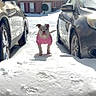 animal, canine, car, cold_weather, daylight, dog, driveway, fence, front_yard, house, outdoor, parked_car, pet, pink_sweater, residential_area, sidewalk, snow, snowy_ground, tree, winter