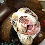 dog, bulldog, heterochromia, close_up, pet, animal, happy, open_mouth, teeth, brown_leather_couch, wooden_floor, indoor, looking_up, person, arm, fur, snout, tongue, cute, companion