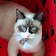 Jezzy a rejoint le concours — aidez-le/la à gagner de superbes lots !