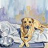 dog, watercolor, painting, blanket, bowl, indoor, pet, relaxed, portrait, art, animal, floor, resting, fur, expression, canine, bed, cozy, background, colorful