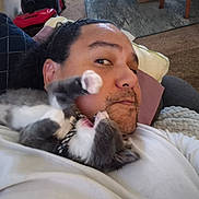 Beaver Cleaver is registered to the contest to win money with this photo: man, kitten, cat, face, paw, indoor, couch, pillow, carpet, expression, pet, playful, closeup, funny, relaxing, home, collar, fur, whiskers, interaction