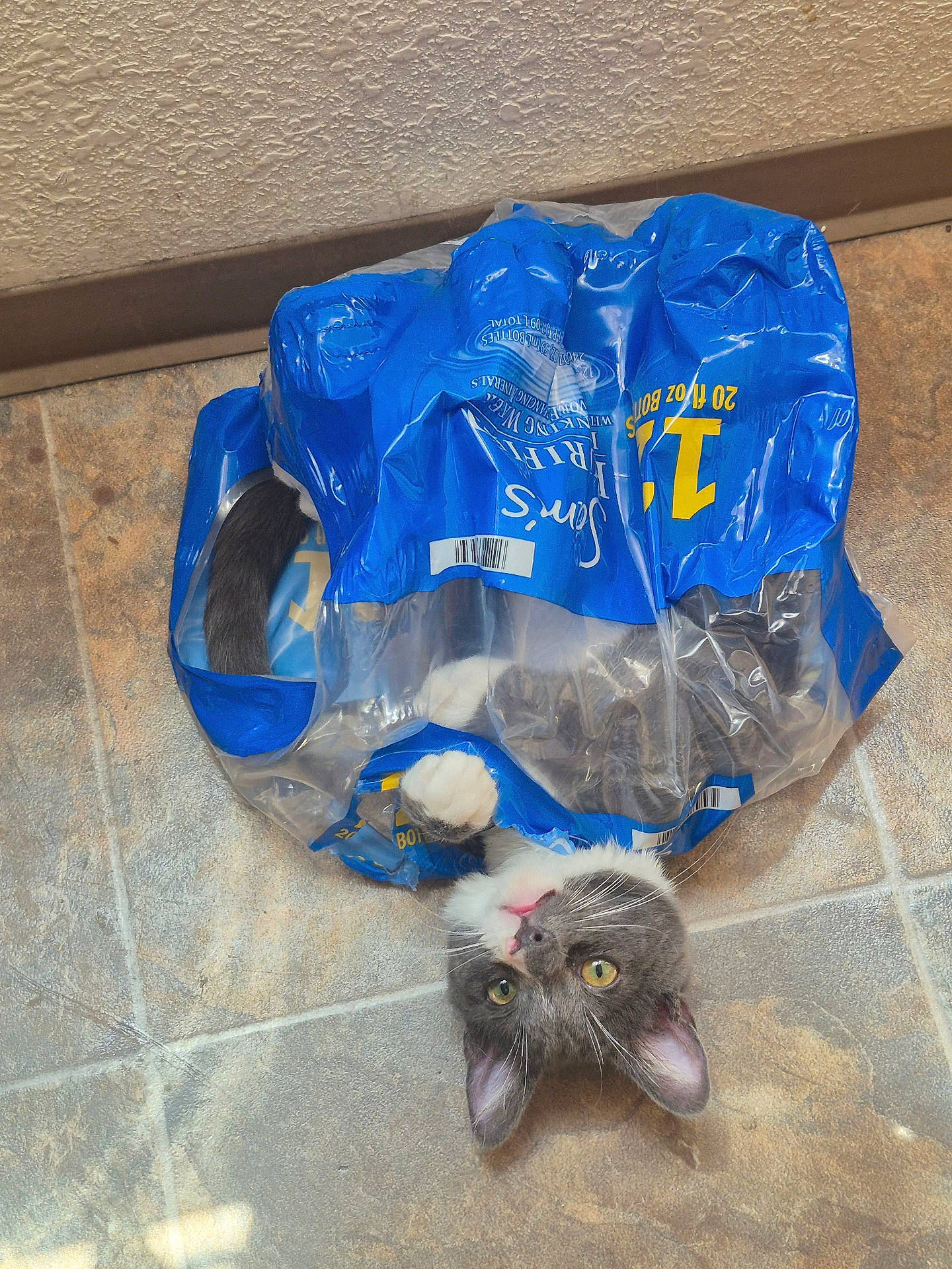 Beaver Cleaver