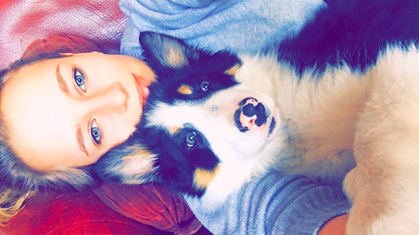 Oggy participe au concours pour gagner de l'argent avec cette photo : beauty, canidae, carnivore, cheek, companion_dog, cool, dog, dog_breed, ear, eye, eyebrow, fur, iris, nose, pomeranian, puppy, puppy_love, selfie, skin, smile