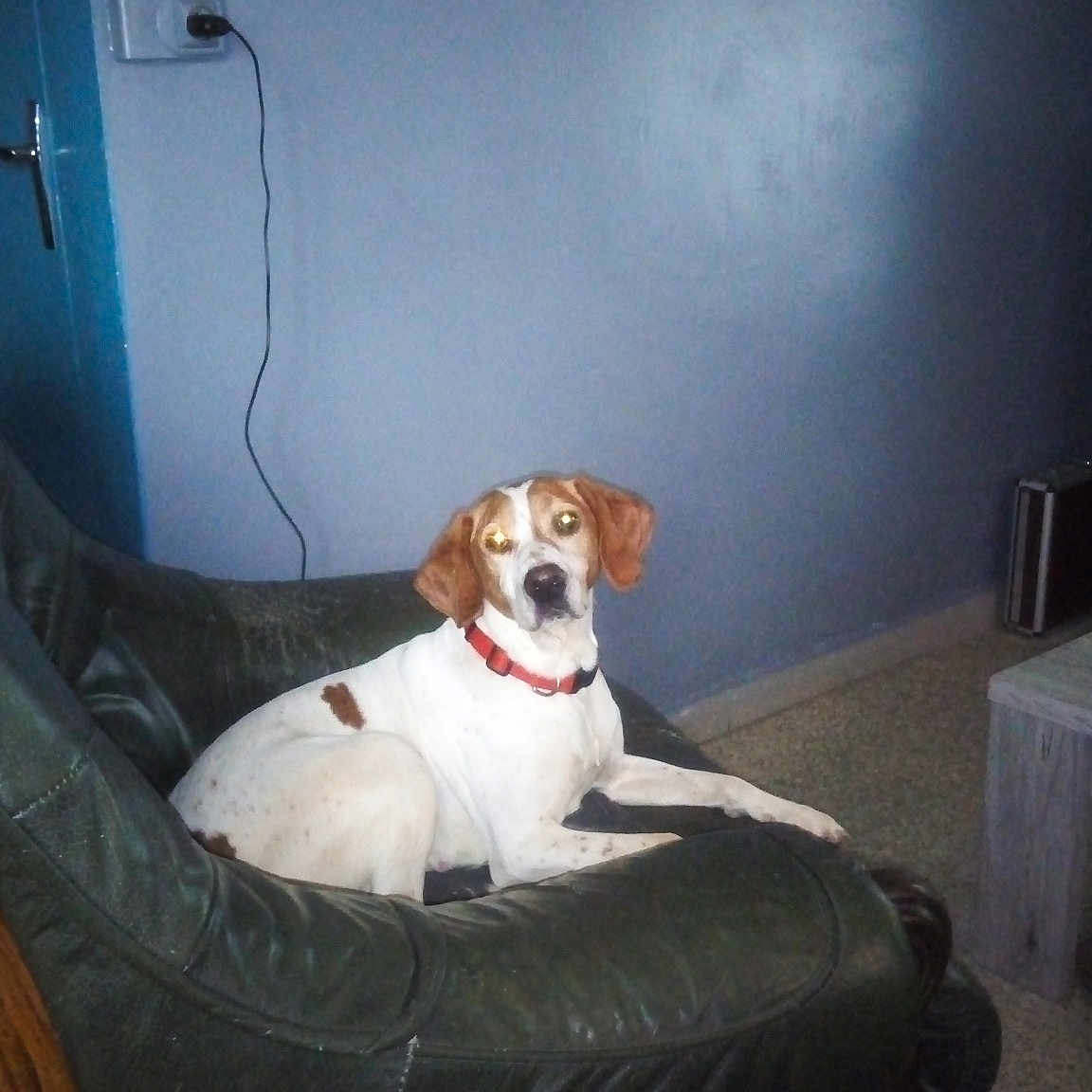 Voici La Belle Vanille