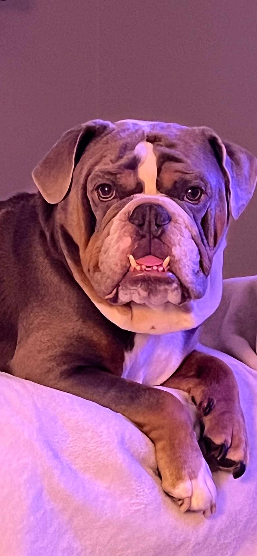 Sirius