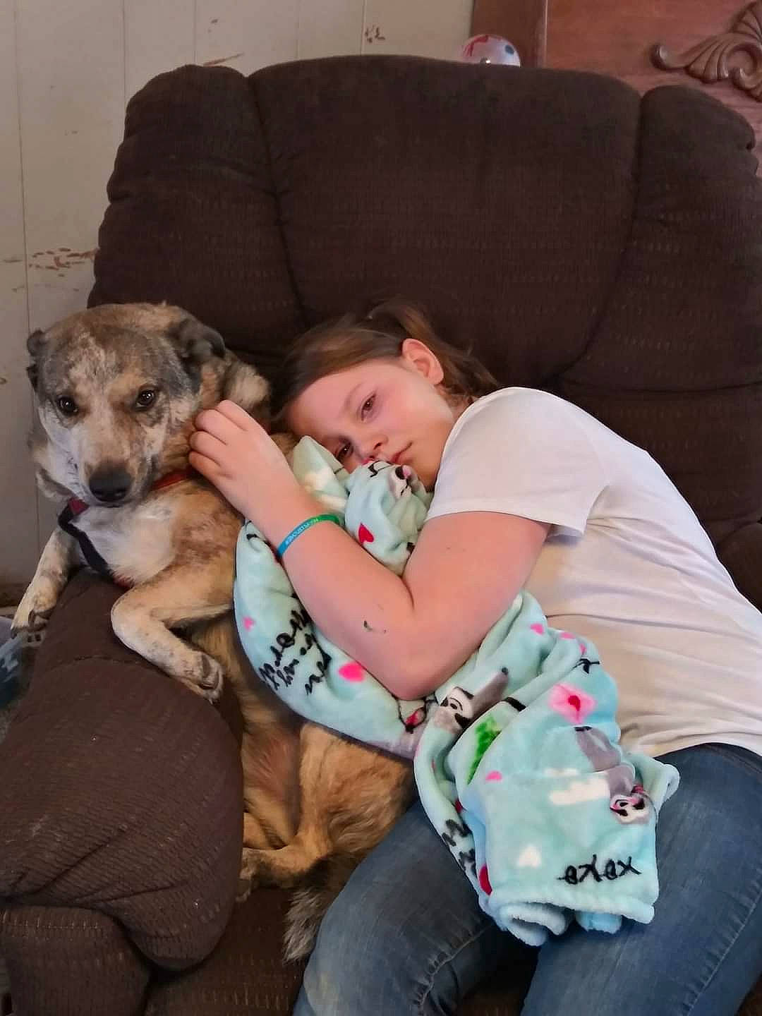 Touchdown is registered to the contest to win money with this photo: canidae, carnivore, child, comfort, companion_dog, couch, dog, dog_breed, event, fawn, fur, happy, jeans, knee, lap, sitting, sporting_group, thigh, toddler, toy_dog