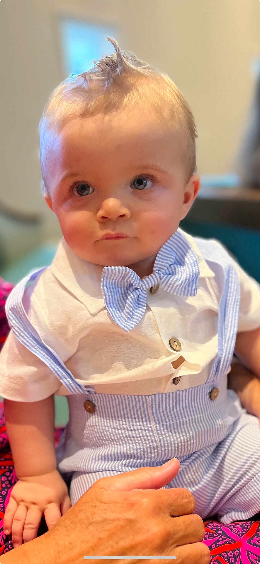 Jaxon Dean is registered to the contest to win money with this photo: baby, child, toddler, face, blue_eyes, mohawk, bow_tie, suspenders, shirt, hand, seated, indoor, portrait, cute, expression, clothing, skin, person, fashion, closeup