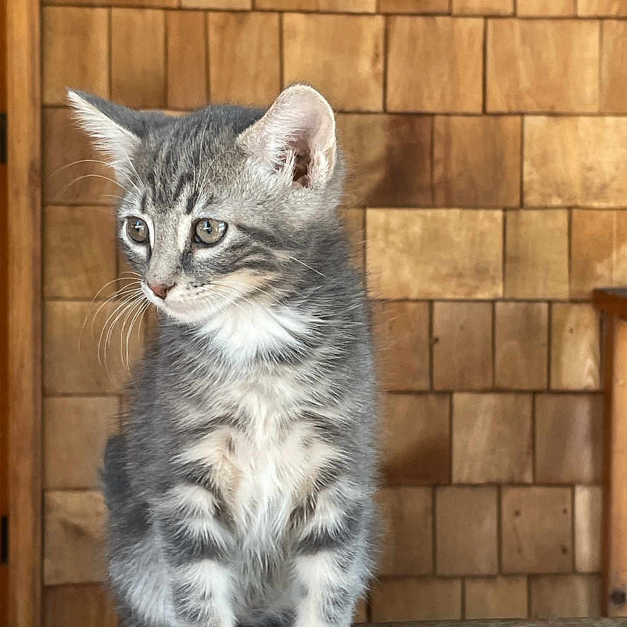 Milo