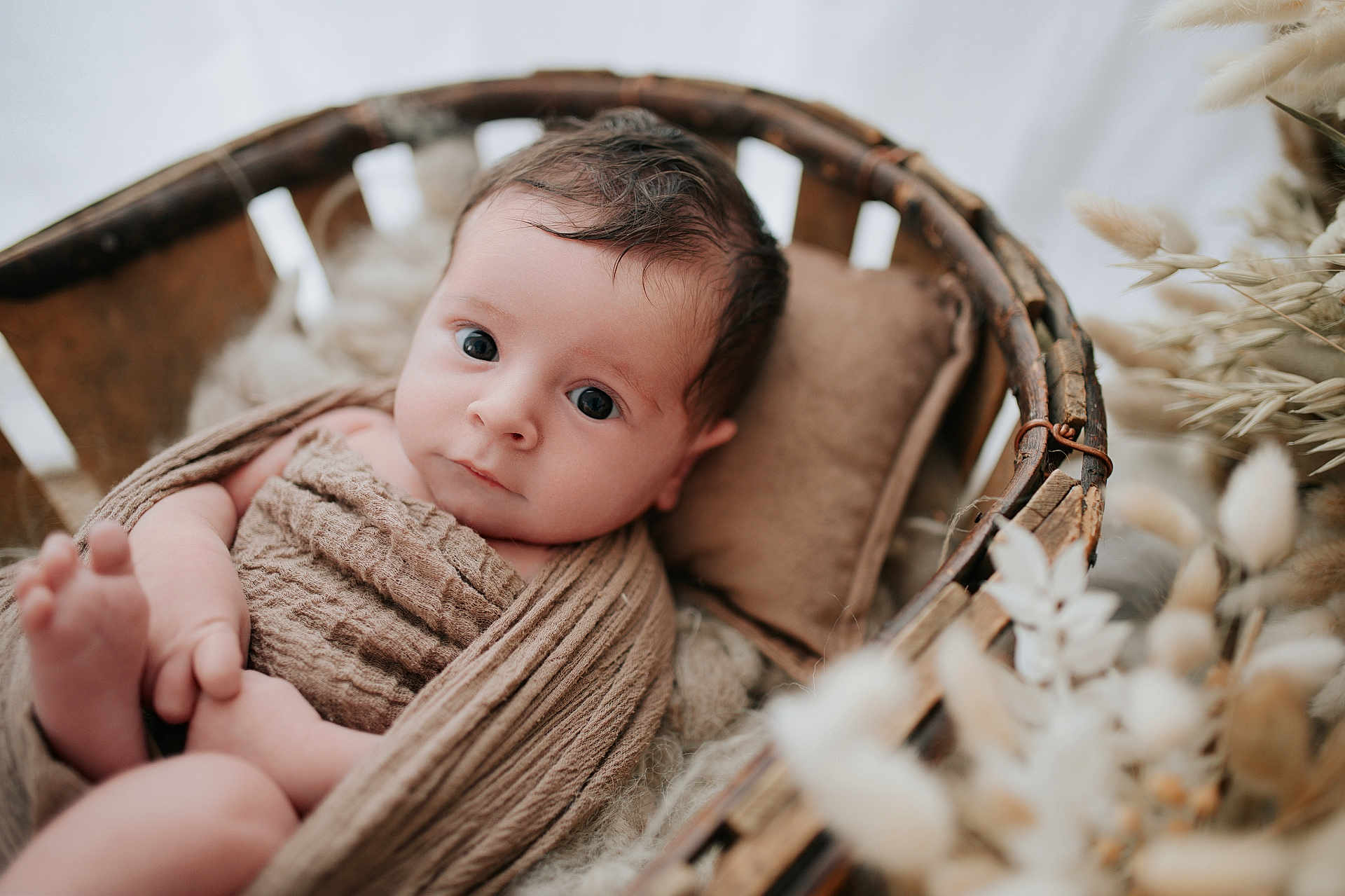 Charles a rejoint le concours — aidez-le/la à gagner de superbes lots ! baby, infant, wrapped, blanket, basket, pillow, dried_flowers, soft_texture, portrait, looking_at_camera, indoors, cute, newborn, skin, head, face, hands, feet, calm, natural_light