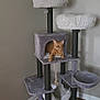 cat, cat_tree, indoor, plush, furniture, wood_floor, rug, orange_cat, pet, cozy, corner, relaxed, animal, home, living_space, soft, hammock, scratching_post, wall, quiet