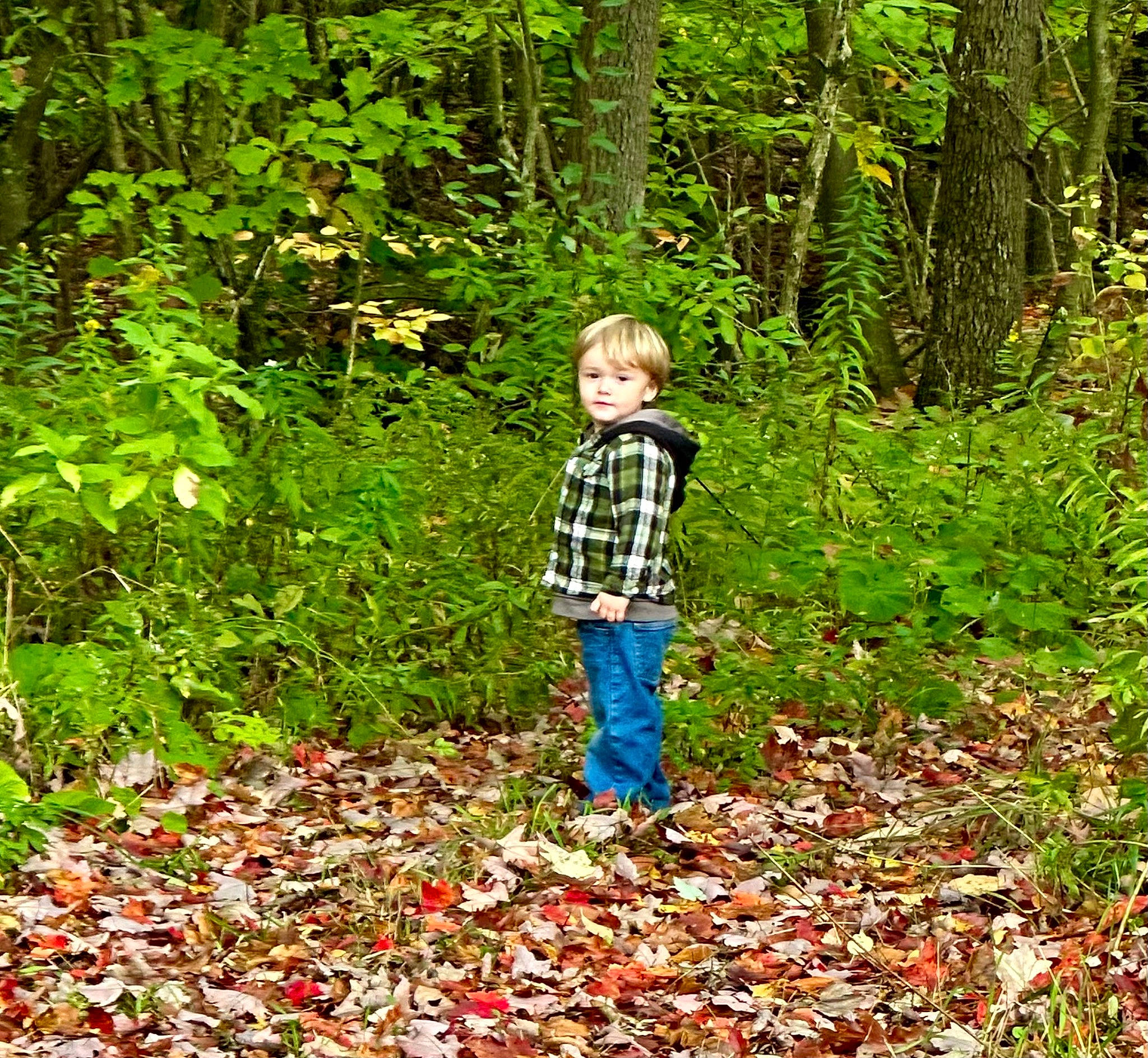 River joined the competition — help win amazing prizes! botany, child, deciduous, forest, grass, groundcover, grove, landscape, natural_landscape, people_in_nature, person, plant, recreation, shrub, soil, temperate_broadleaf_and_mixed_forest, terrestrial_plant, toddler, trail, tree