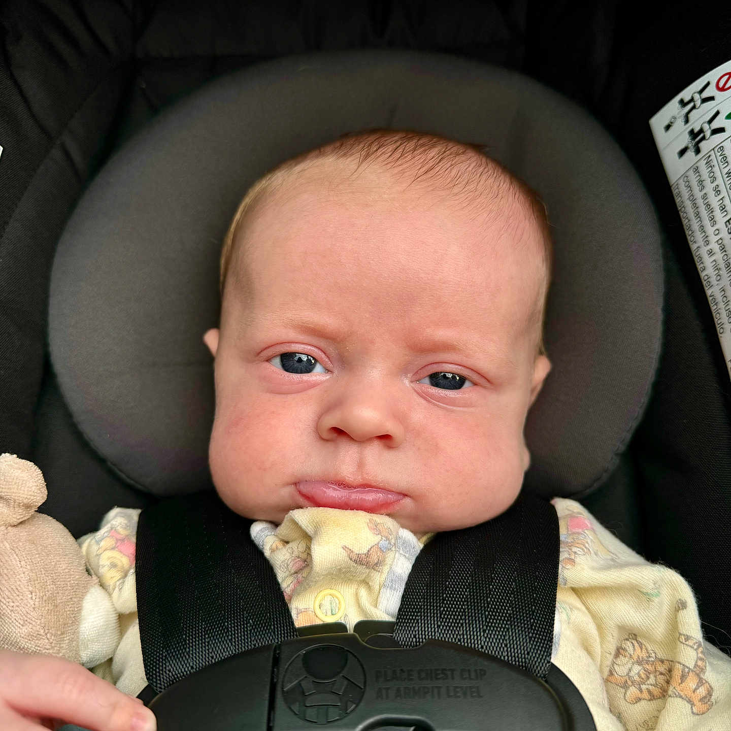 Lincoln is registered to the contest to win money with this photo: accessories, baby, bodypart, car, car_interior, carseat, cushion, face, finger, gun, hand, head, homedecor, newborn, person, photography, portrait, transportation, vehicle, weapon