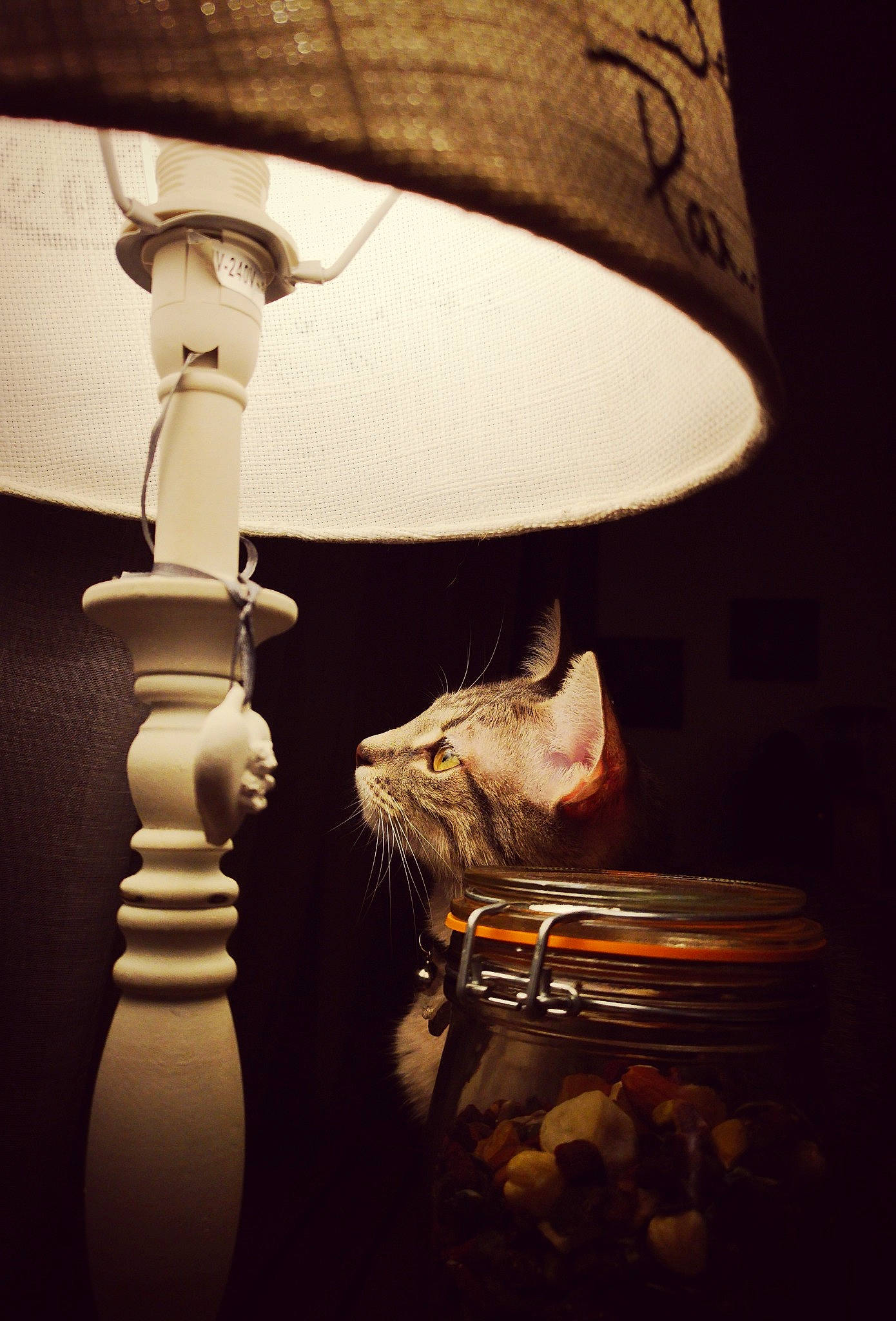 Peepa participe au concours pour gagner de l'argent avec cette photo : incandescent_light_bulb, interior_design, lamp, lampshade, light, light_bulb, light_fixture, lighting, lighting_accessory, photography, room, still_life_photography, tints_and_shades