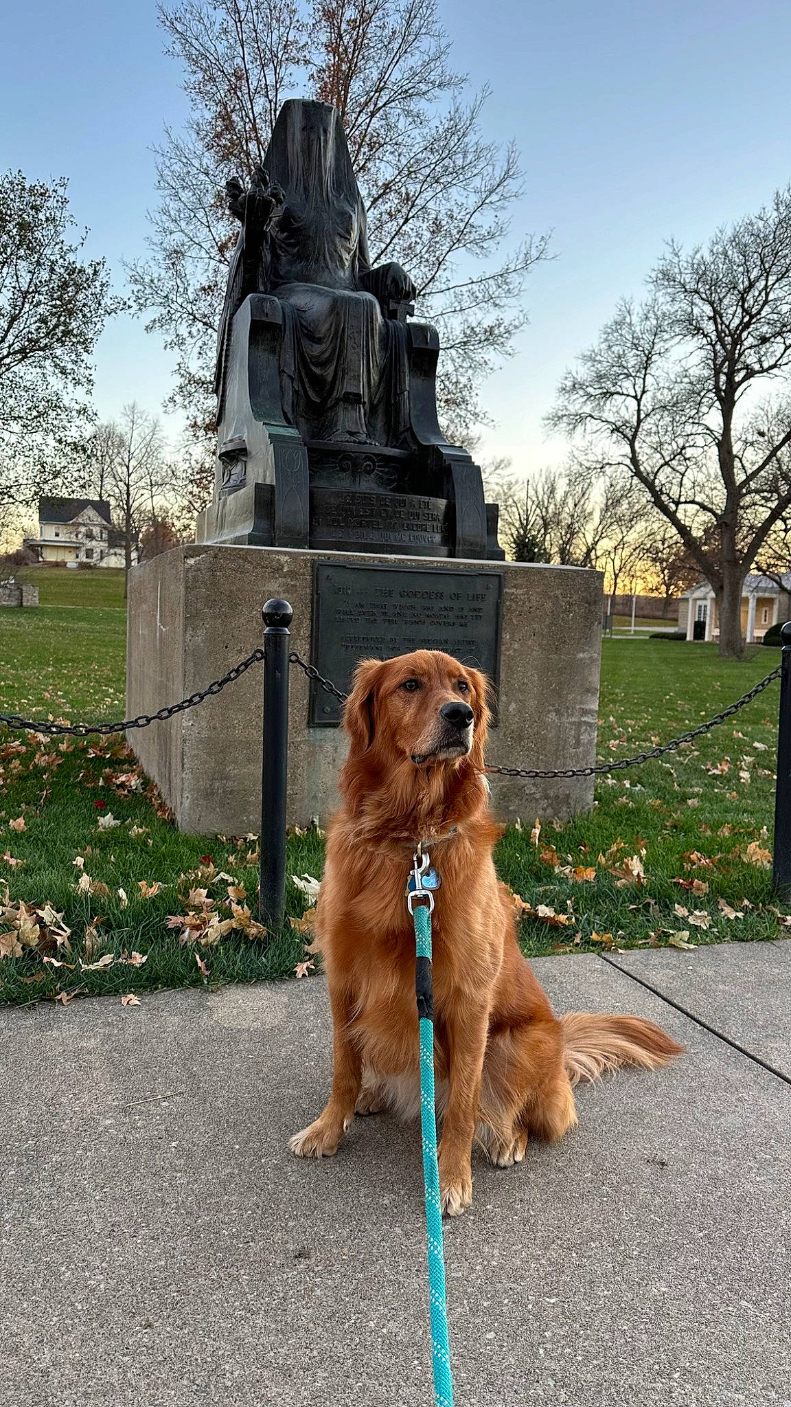 Lottie is registered to the contest to win money with this photo: carnivore, collar, companion_dog, dog, dog_breed, dog_collar, fawn, grass, leash, liver, plant, road_surface, sculpture, sidewalk, sky, snout, sporting_group, tail, tree, working_animal