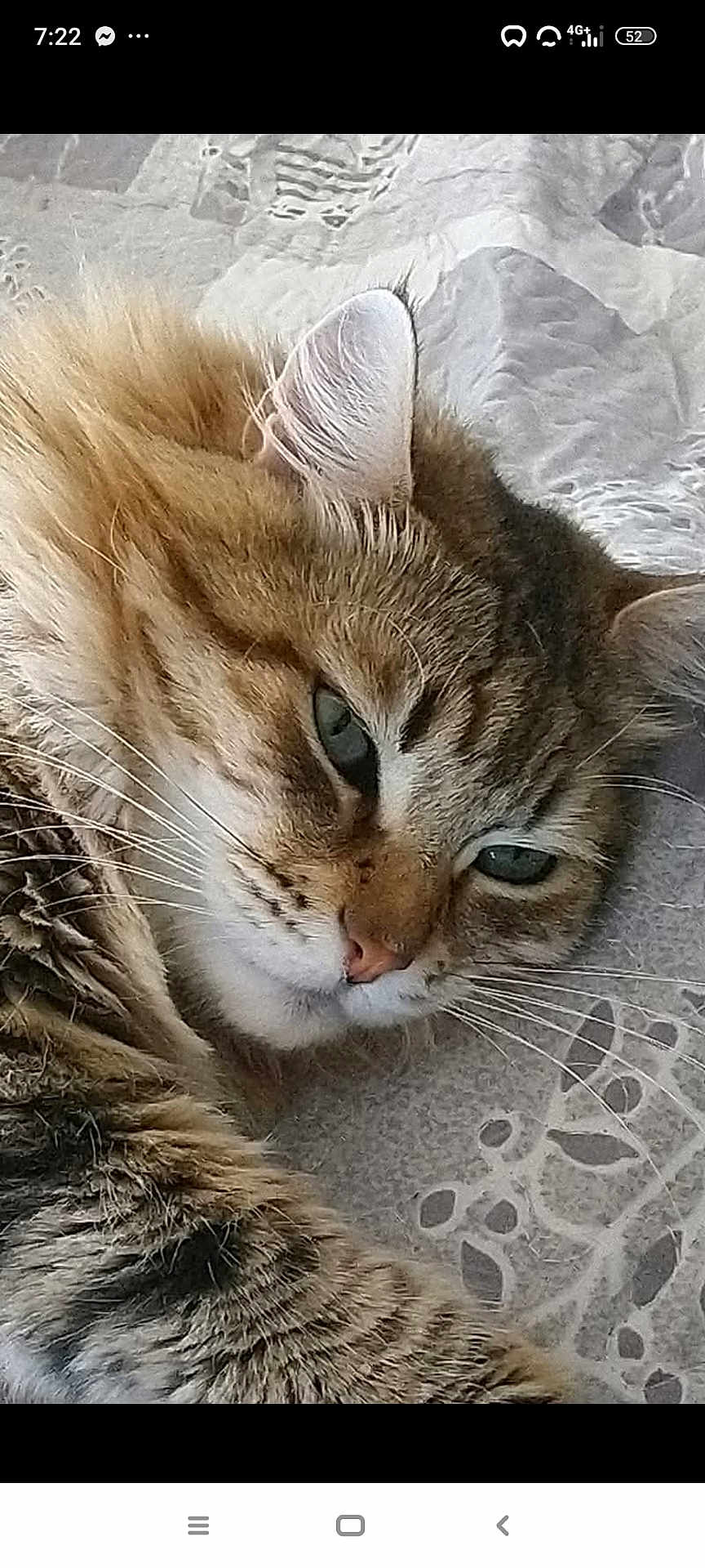 Nina