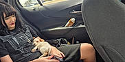 Lucas joined the competition — help win amazing prizes! backseat, black_hair, car_interior, casual, cloudy_sky, drink_carton, handbag, holding, necklace, pet, puppy, relaxed, road, seat, shorts, smiling, trees, tshirt, window, woman