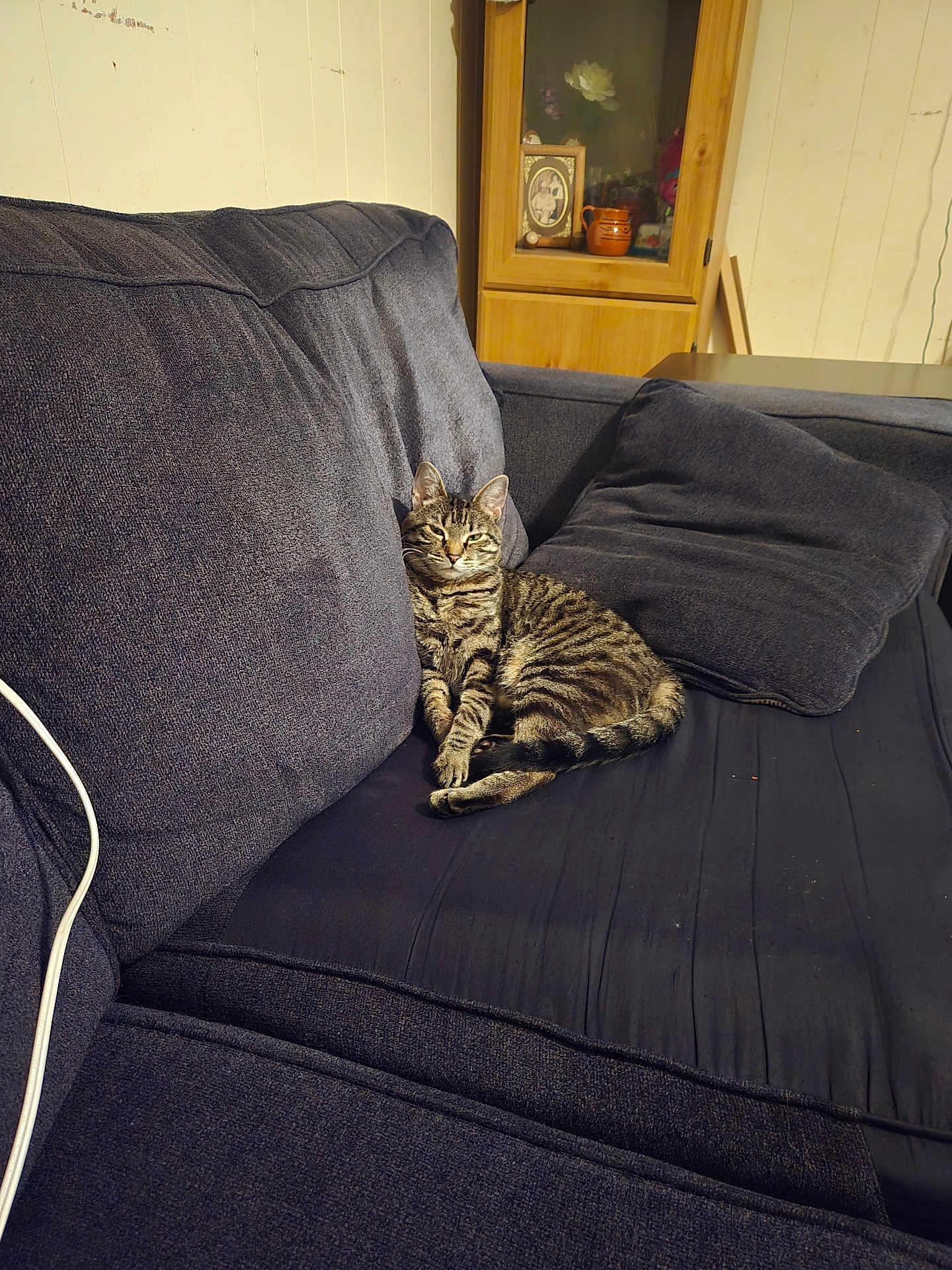 Tiggger is registered to the contest to win money with this photo: cat, tabby, couch, sofa, indoor, pet, furniture, relaxed, striped, animal, living_room, wooden_cabinet, pillow, cozy, home, domestic, resting, fur, comfortable, house